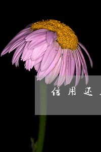 信用还款日当天还款算逾期吗 信用还款日当天还款算逾期吗