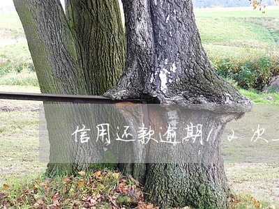 信用还款逾期12次上浮 信用还款逾期12次上浮