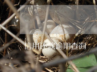 信用还款逾期查询 信用还款逾期查询