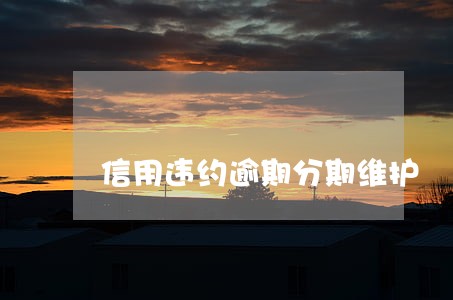 信用违约逾期分期维护 信用违约逾期分期维护