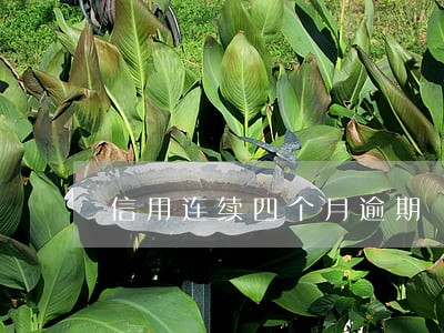 信用连续四个月逾期