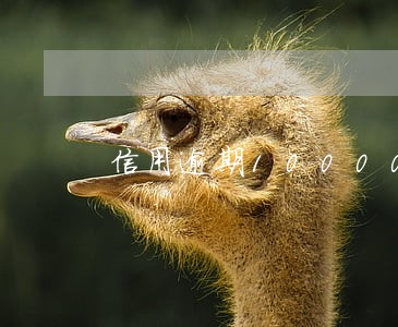 信用逾期10000会坐牢吗 信用逾期10000会坐牢吗