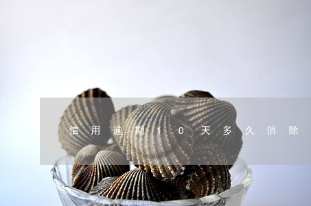 信用逾期10天多久消除 信用逾期10天多久消除