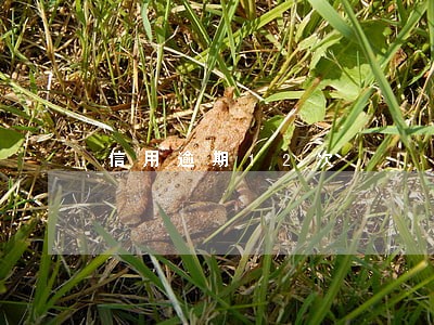 信用逾期12次 信用逾期12次