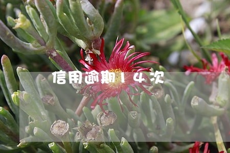信用逾期14次 信用逾期14次
