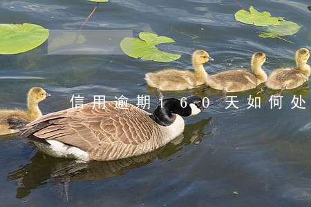 信用逾期160天如何处理 信用逾期160天如何处理