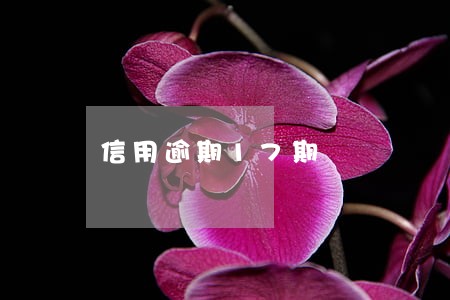 信用逾期17期