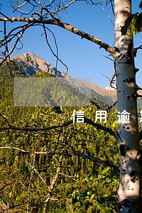 信用逾期1年了