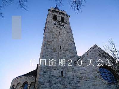 信用逾期20天会怎样