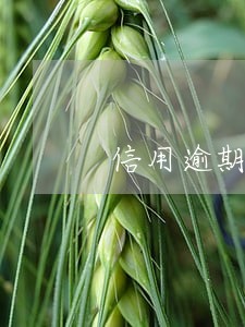 信用逾期2天会影响征信 信用逾期2天会影响征信