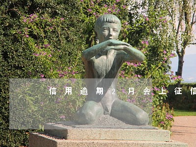 信用逾期2月会上征信吗 信用逾期2月会上征信吗