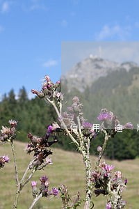信用逾期2次咋办 信用逾期2次咋办