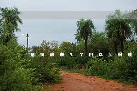 信用逾期3个月以上最佳处理方法 信用逾期3个月以上最佳处理方法