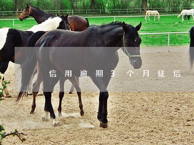 信用逾期3个月征信 信用逾期3个月征信