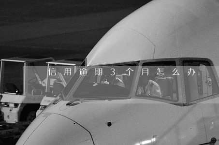 信用逾期3个月怎么办 信用逾期3个月怎么办