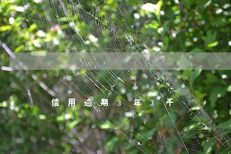 信用逾期3年3千 信用逾期3年3千