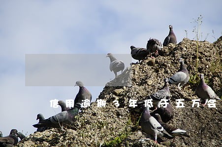 信用逾期3年低于五万会不会坐牢