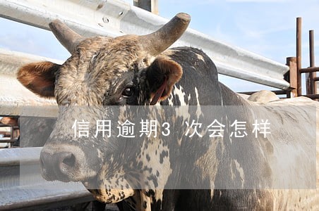 信用逾期3次会怎样 信用逾期3次会怎样