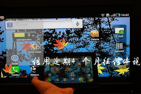 信用逾期4个月征信体现多少 信用逾期4个月征信体现多少