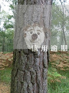 信用逾期4天扣多少钱
