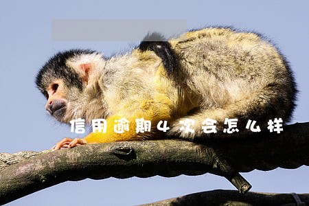 信用逾期4次会怎么样