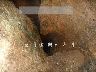 信用逾期5个月 信用逾期5个月