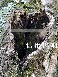 信用逾期5年8次