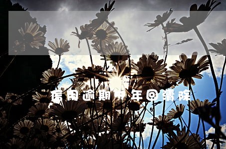 信用逾期5年回清除