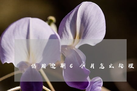 信用逾期6个月怎么处理 信用逾期6个月怎么处理