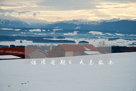 信用逾期6天怎么办 信用逾期6天怎么办
