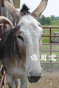 信用逾期6次可以买二手房吗 信用逾期6次可以买二手房吗