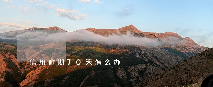 信用逾期70天怎么办 信用逾期70天怎么办