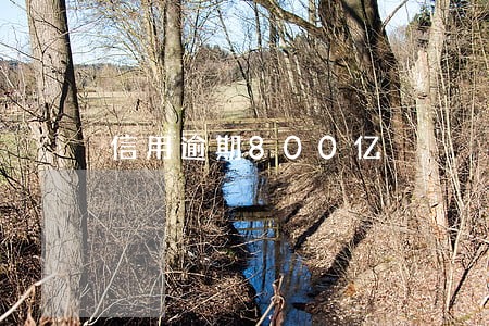 信用逾期800亿 信用逾期800亿