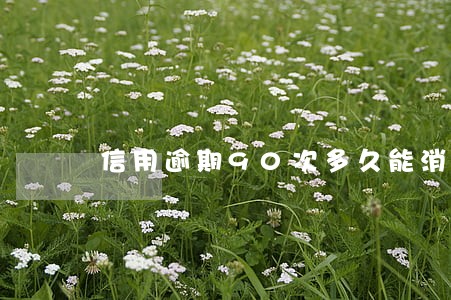 信用逾期90次多久能消 信用逾期90次多久能消