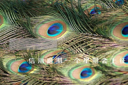 信用逾期一个星期会上征信不会 信用逾期一个星期会上征信不会