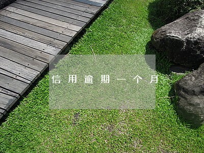 信用逾期一个月 信用逾期一个月