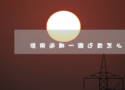 信用逾期一周还款怎么办 信用逾期一周还款怎么办