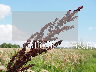 信用逾期一天有没有影响大吗