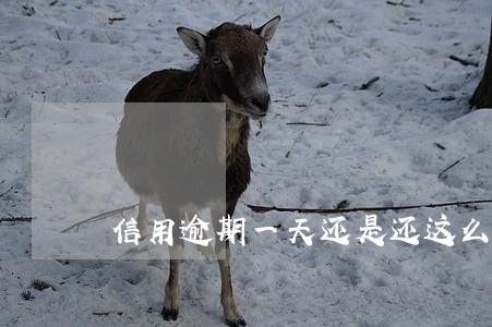信用逾期一天还是还这么多钱吗 信用逾期一天还是还这么多钱吗