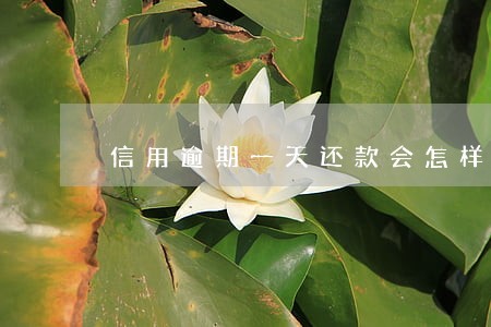 信用逾期一天还款会怎样 信用逾期一天还款会怎样