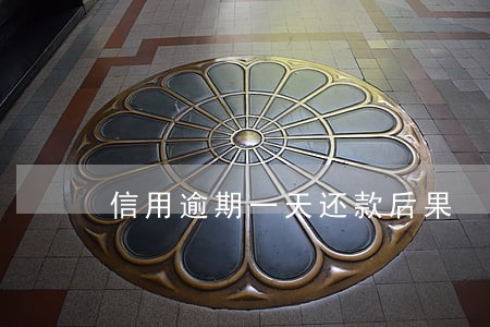 信用逾期一天还款后果 信用逾期一天还款后果