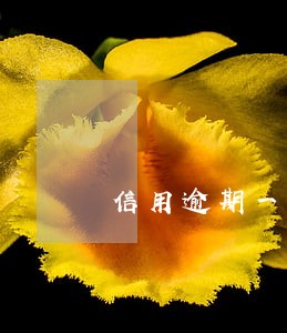 信用逾期一年了 信用逾期一年了