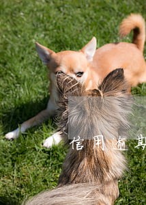 信用逾期一年有什么后果 信用逾期一年有什么后果