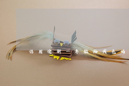 信用逾期一年能给减免吗 信用逾期一年能给减免吗