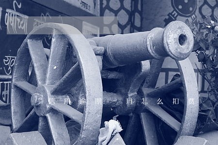 信用逾期一月怎么扣费 信用逾期一月怎么扣费