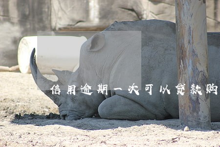 信用逾期一次可以贷款购房吗 信用逾期一次可以贷款购房吗