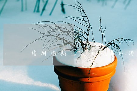 信用逾期一次多久可以消除