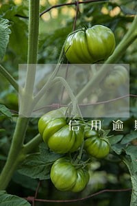 信用逾期一次影响征信吗 信用逾期一次影响征信吗
