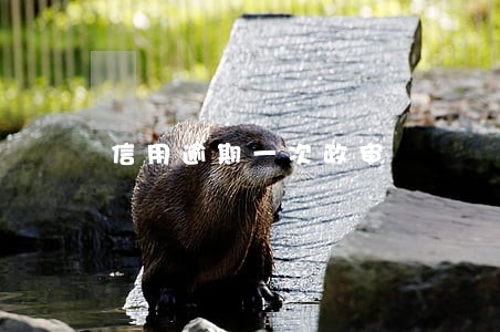 信用逾期一次政审 信用逾期一次政审