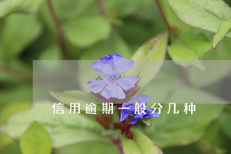 信用逾期一般分几种 信用逾期一般分几种